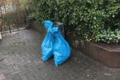 Saubere_Ruhr_2019 (8)