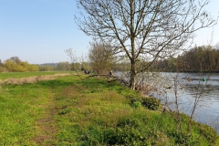 20190407_101258