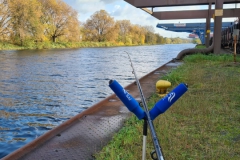 254484182_1118378512237794_6735576417356687875_n