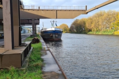 254488091_478425496858958_548628280553428057_n